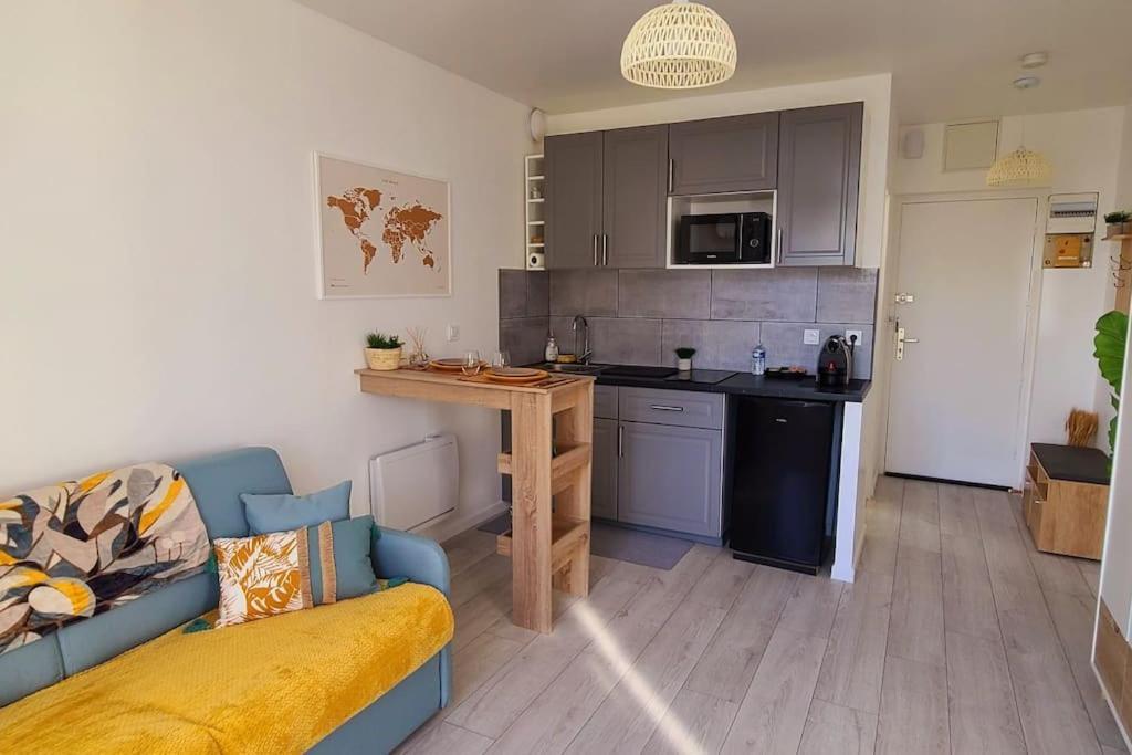 Studio Cosy Avec Vue Sur La Seine 康弗兰斯·圣荷诺 外观 照片