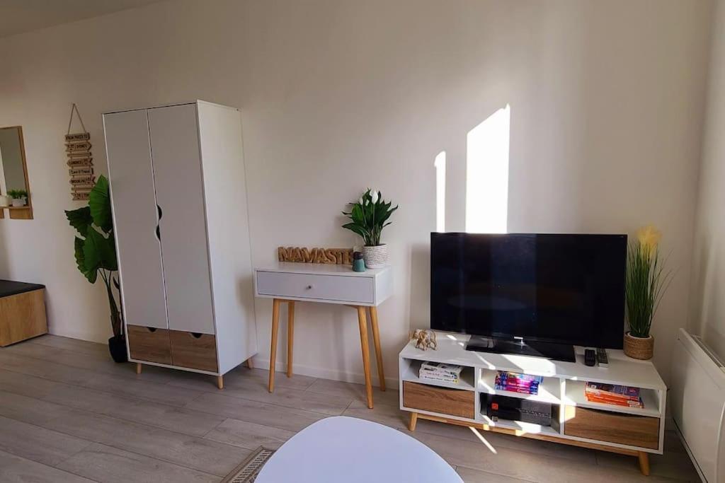 Studio Cosy Avec Vue Sur La Seine 康弗兰斯·圣荷诺 外观 照片