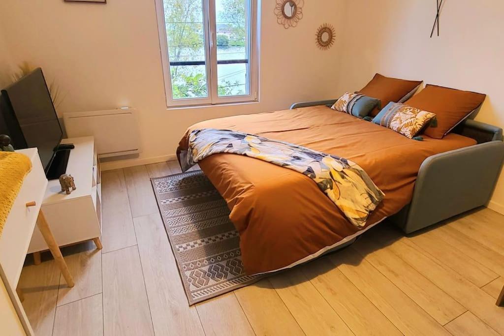 Studio Cosy Avec Vue Sur La Seine 康弗兰斯·圣荷诺 外观 照片