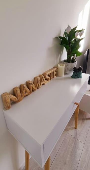 Studio Cosy Avec Vue Sur La Seine 康弗兰斯·圣荷诺 外观 照片