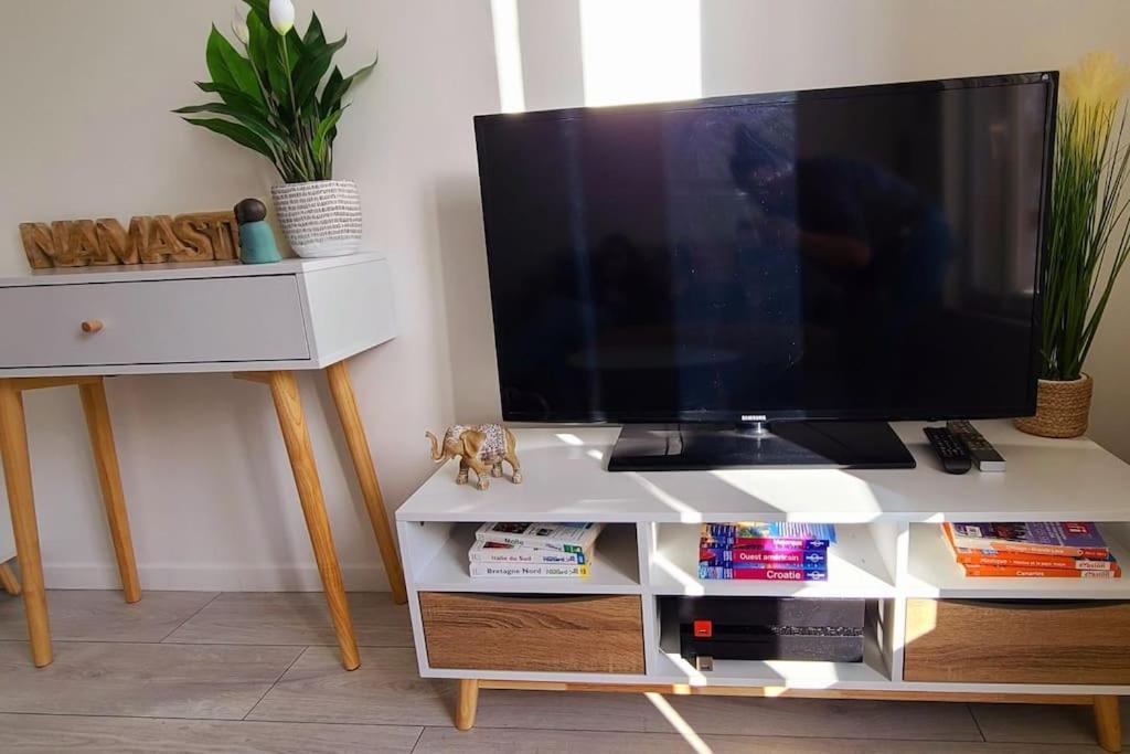 Studio Cosy Avec Vue Sur La Seine 康弗兰斯·圣荷诺 外观 照片